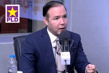 PLD condiciona alianzas electorales a liderazgo propio