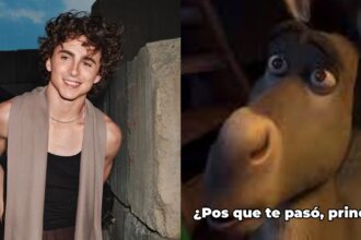 Timothée Chalamet: su nueva imagen causa distanciamiento con fans