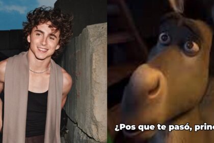Timothée Chalamet: su nueva imagen causa distanciamiento con fans