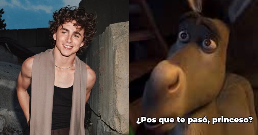 Timothée Chalamet: su nueva imagen causa distanciamiento con fans