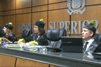 TSE analiza demanda de nulidad en elección interna del PLD