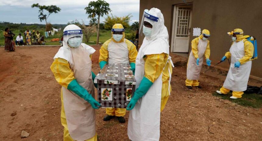 EE UU refuerza controles en aeropuertos por brote de ébola
