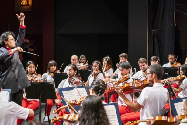 National Youth Orchestra 2 de Carnegie Hall tocará en RD en 2026