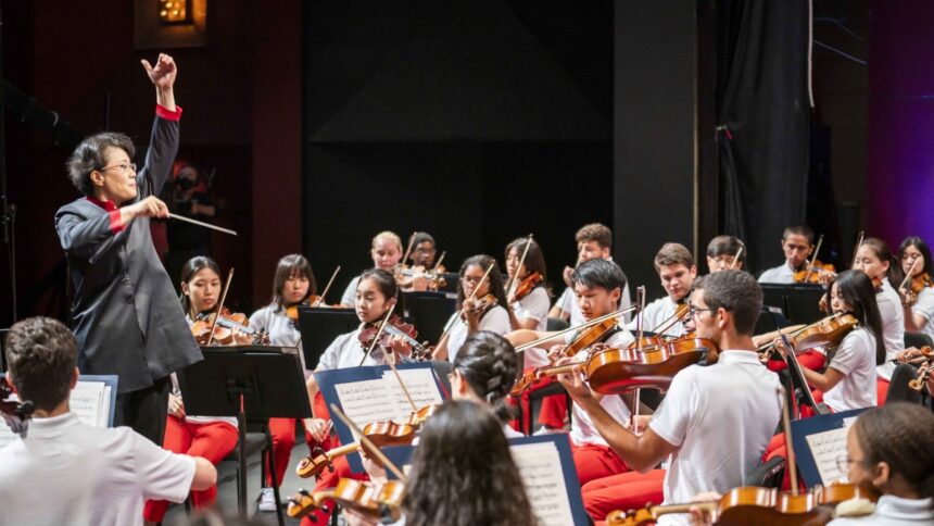 National Youth Orchestra 2 de Carnegie Hall tocará en RD en 2026